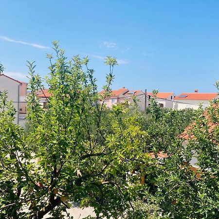 Apartment Mrkic Biograd Na Moru Ngoại thất bức ảnh
